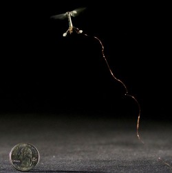 В Гарварде создали электронного летающего жука